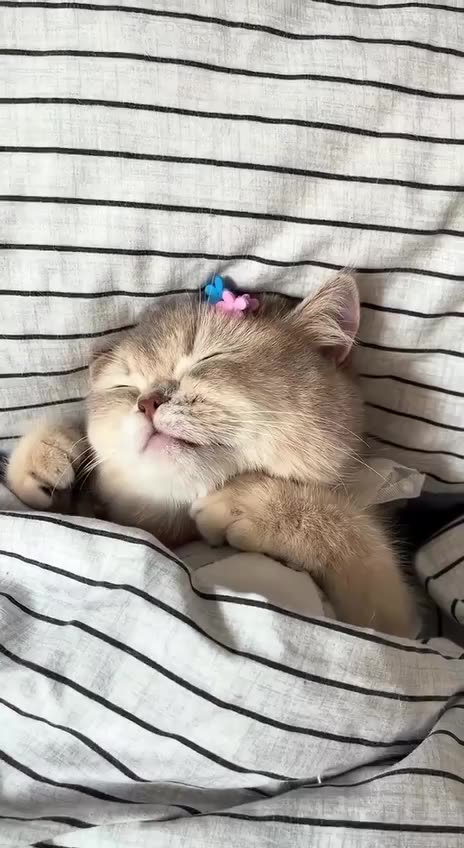 School time and you need to wake up 🤣🤣🤣