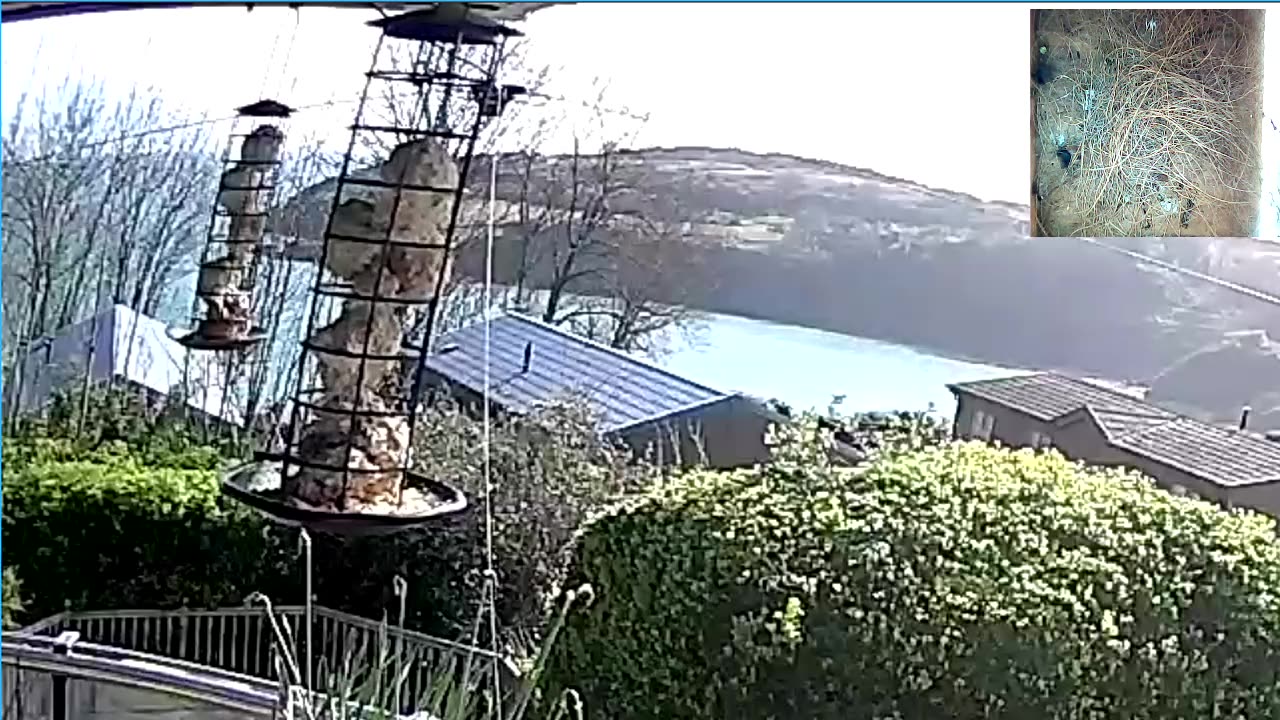 Saint Mary's cove Brixham UK, and bird Box & feeder.