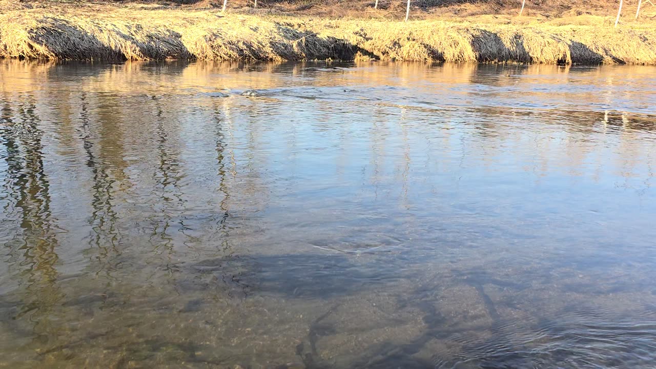 A very beautiful river with a calming sound.