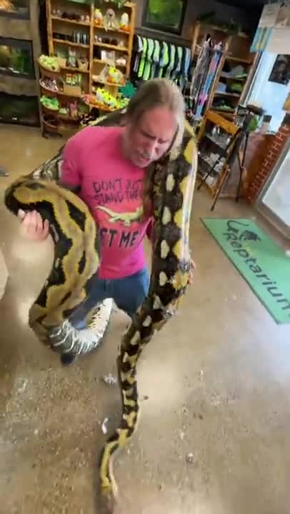FUNNY AND CUTE ANIMALS 🐍⚕️