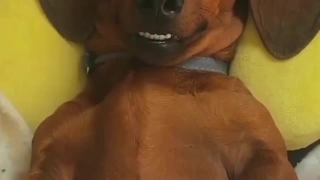 Please! Dont Bother!🤣