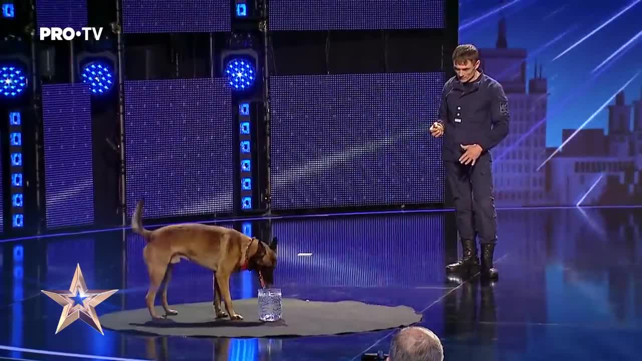 DOG! TALENTED Câinele care a uimit toata sala - Romania's Got Talent