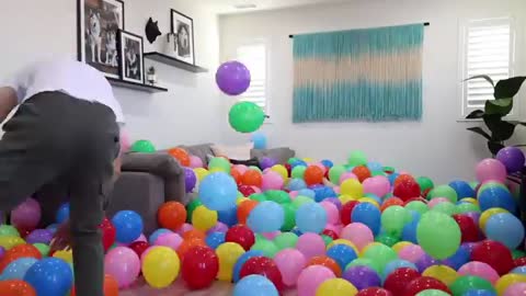 Surprising My Husky with a House Full Of Balloons For Her Birthday!