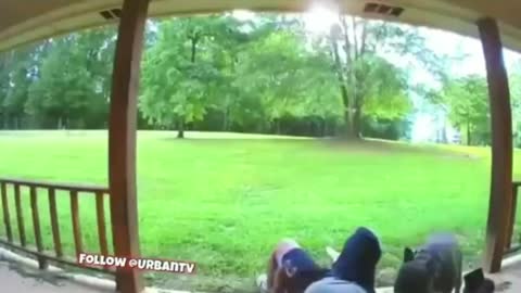 This dog is very funny.