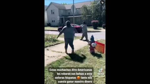 Savage Group of Females Robs Woman of Purse