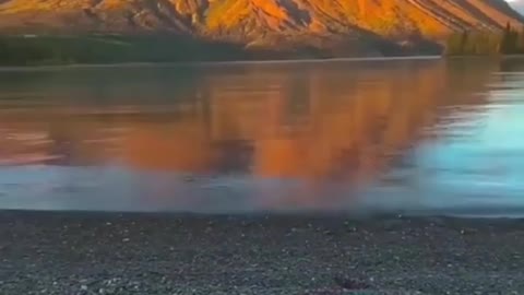 Thư giãn trên mạng xã hội Truth Social! 🇺🇸