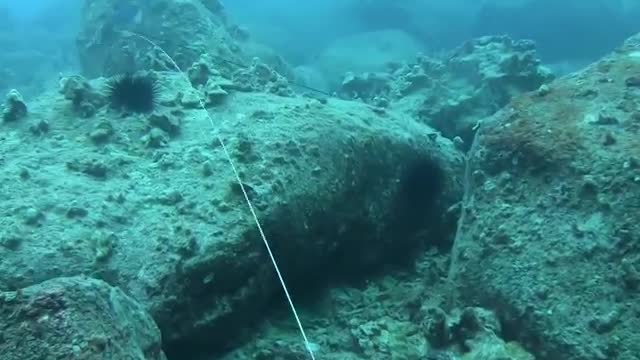 spearfishing for giant grouper in shipwrecks Part -03