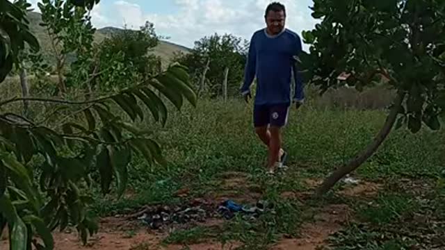 Nada deu certo