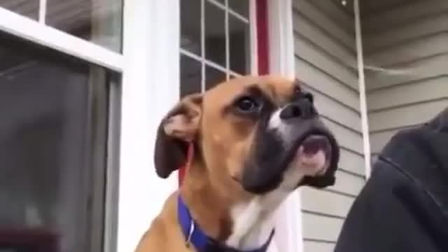 I don't know what happened to him