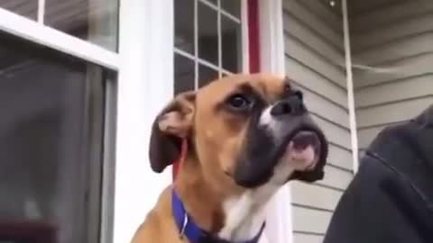 I don't know what happened to him