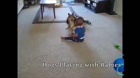 You will see a funny dog ​​playing with the kids