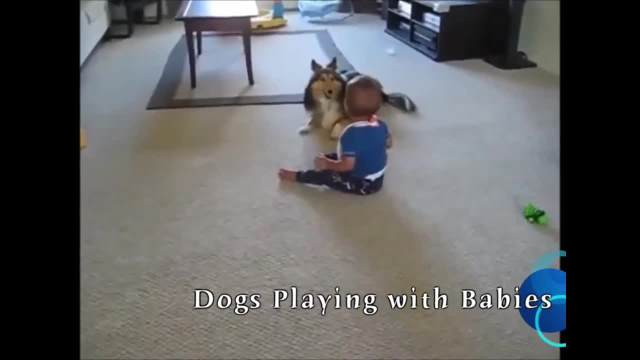 You will see a funny dog ​​playing with the kids