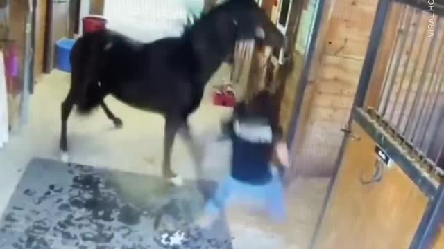 Horse attacks trainer