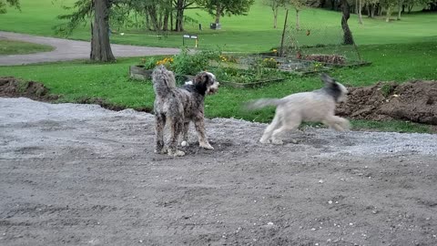 Construction Area Playtime