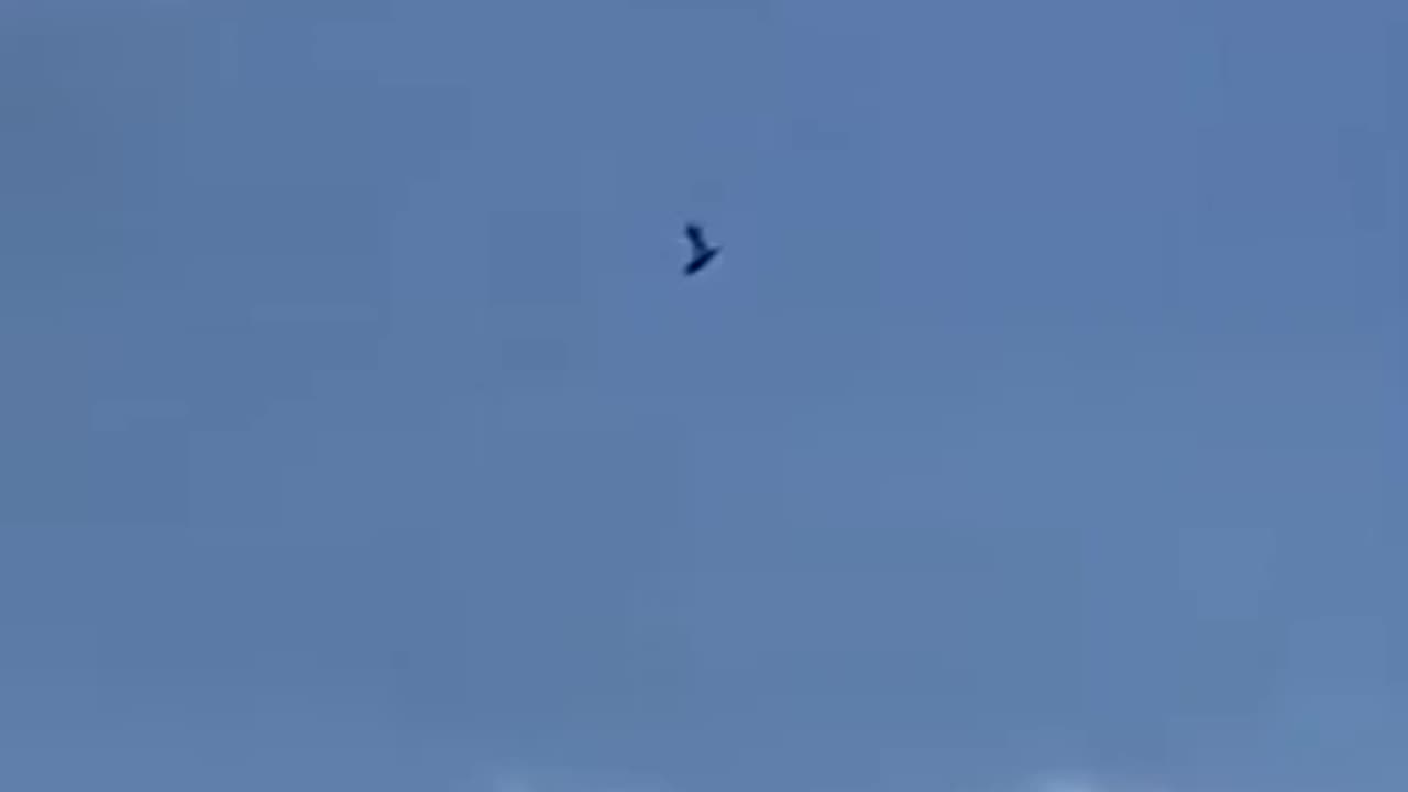 Bro went for sky surfing 😂
