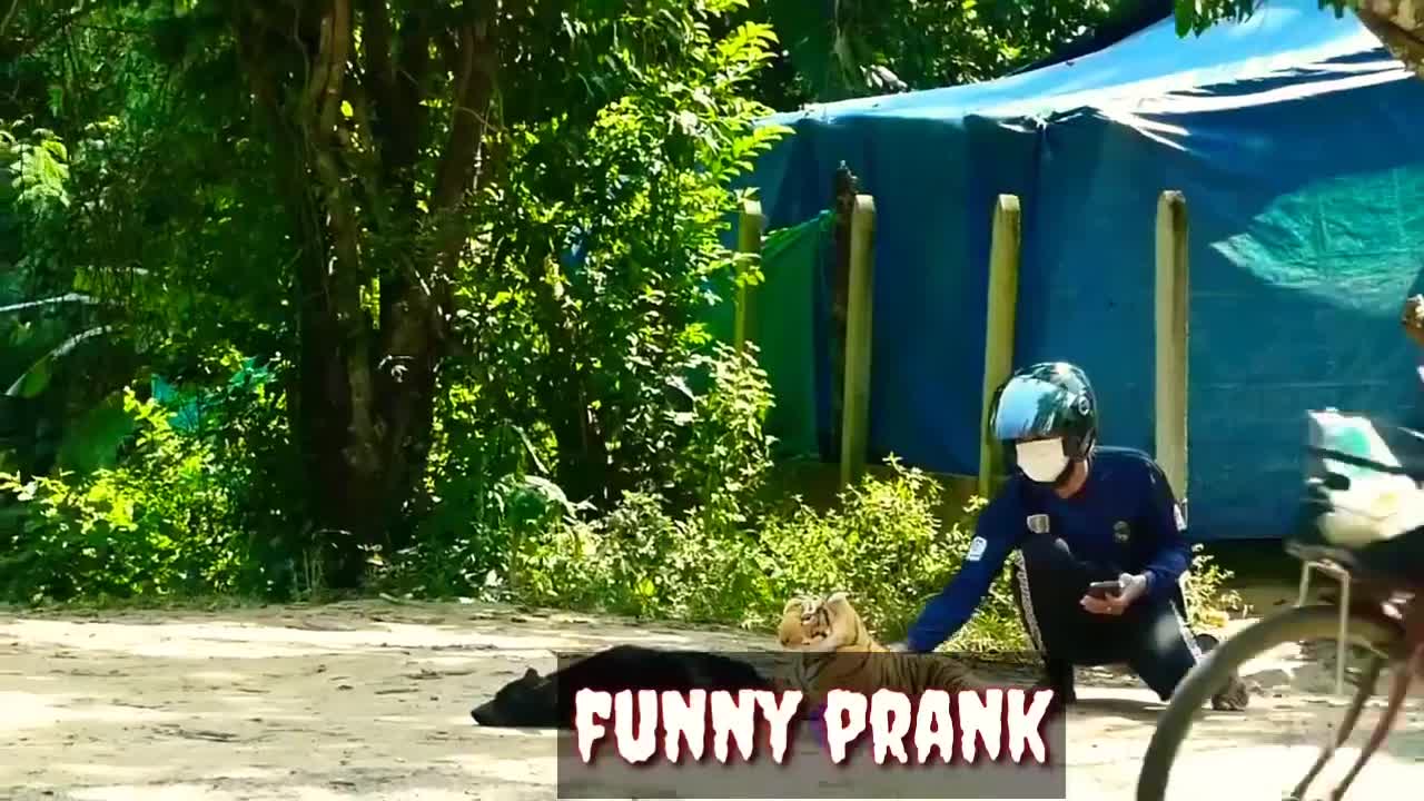 Funny animal pranks videos 😂🤣🤣😂