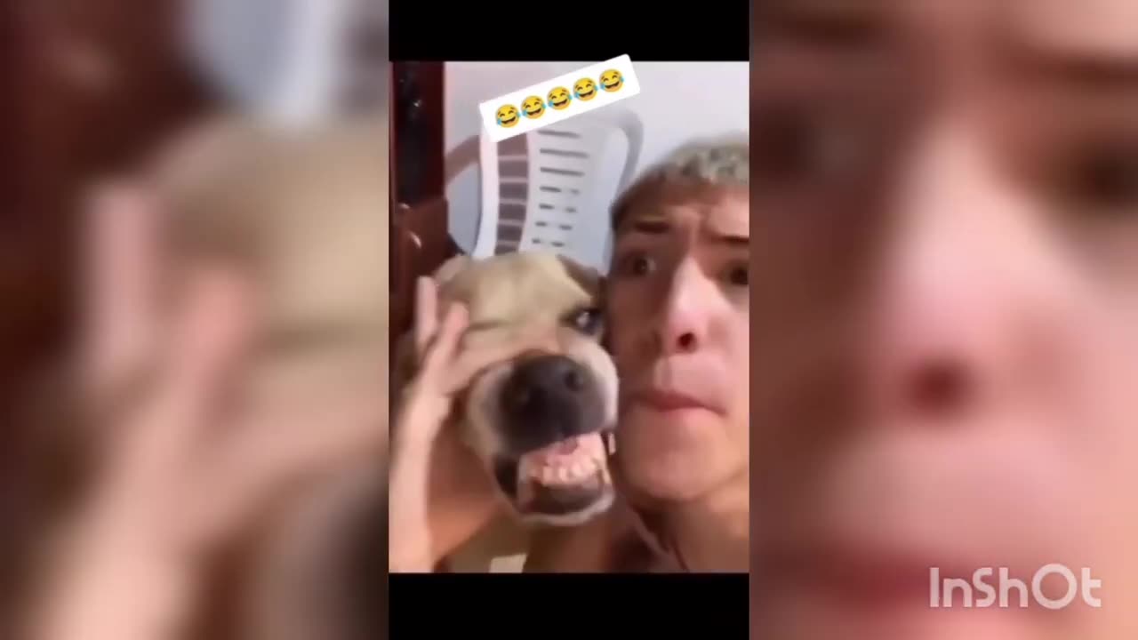 Funny Dog rapping mems 🔥🔥