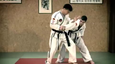 Hapkido