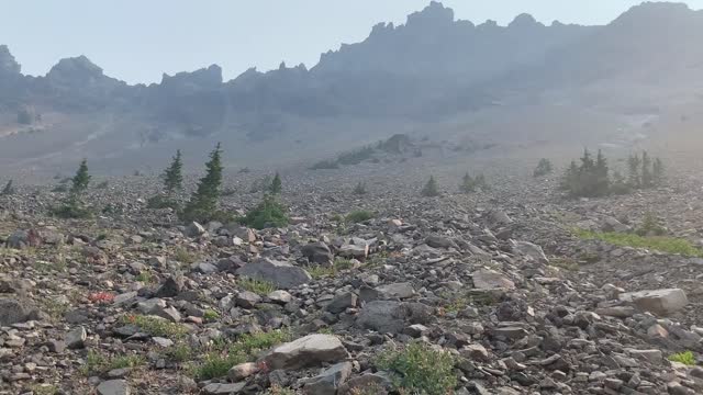 Oregon - Mount Jefferson Wilderness - Looking up at Three Fingered Jack Mountain in all its Glory