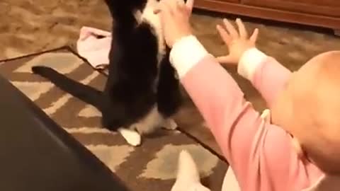 The cat is training the child