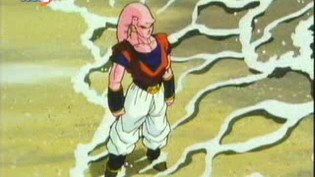 dragonballz 271pl