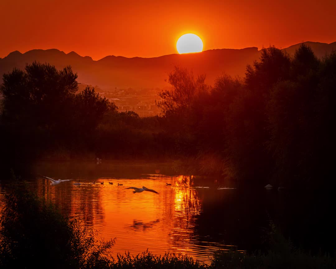 HENDERSON BIRD PRESERVE SUNRISE