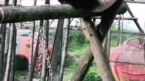 I'm just playing, what's wrong with that?