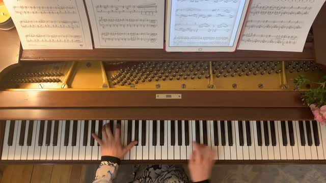 Scherzo Caprice on a Theme of Neverland, from Kingdom Hearts Birth by Sleep, by Yoko Shimomura