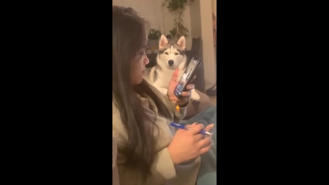 Funny video😂🤣😂