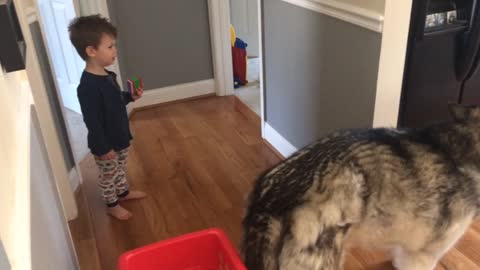 Adorable toddler commanding dog to eat bone