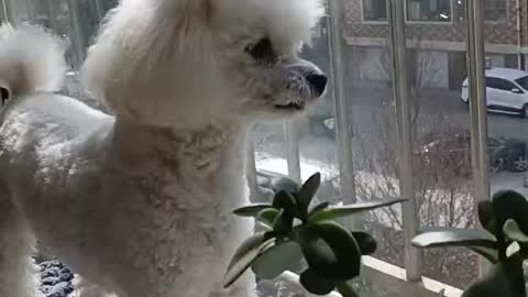 Today you are the most beautiful