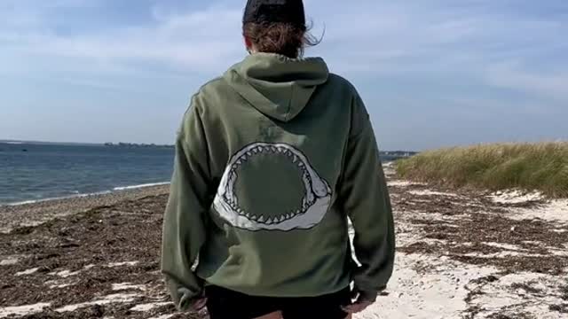 POV: you realize sharks are hunted at a rate of 100