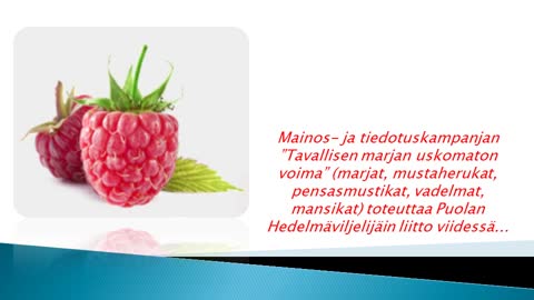 Marjat, mustaherukat, pensasmustikat, vadelmat, mansikat - Power Fruits