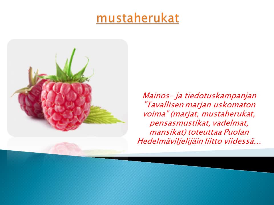 Marjat, mustaherukat, pensasmustikat, vadelmat, mansikat - Power Fruits