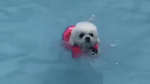 Good fast