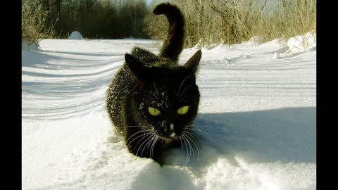 Egyre jobban cenzúrázni fogják az internetet