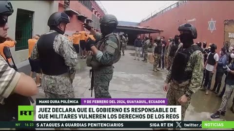 RT EN VIVO 24/7