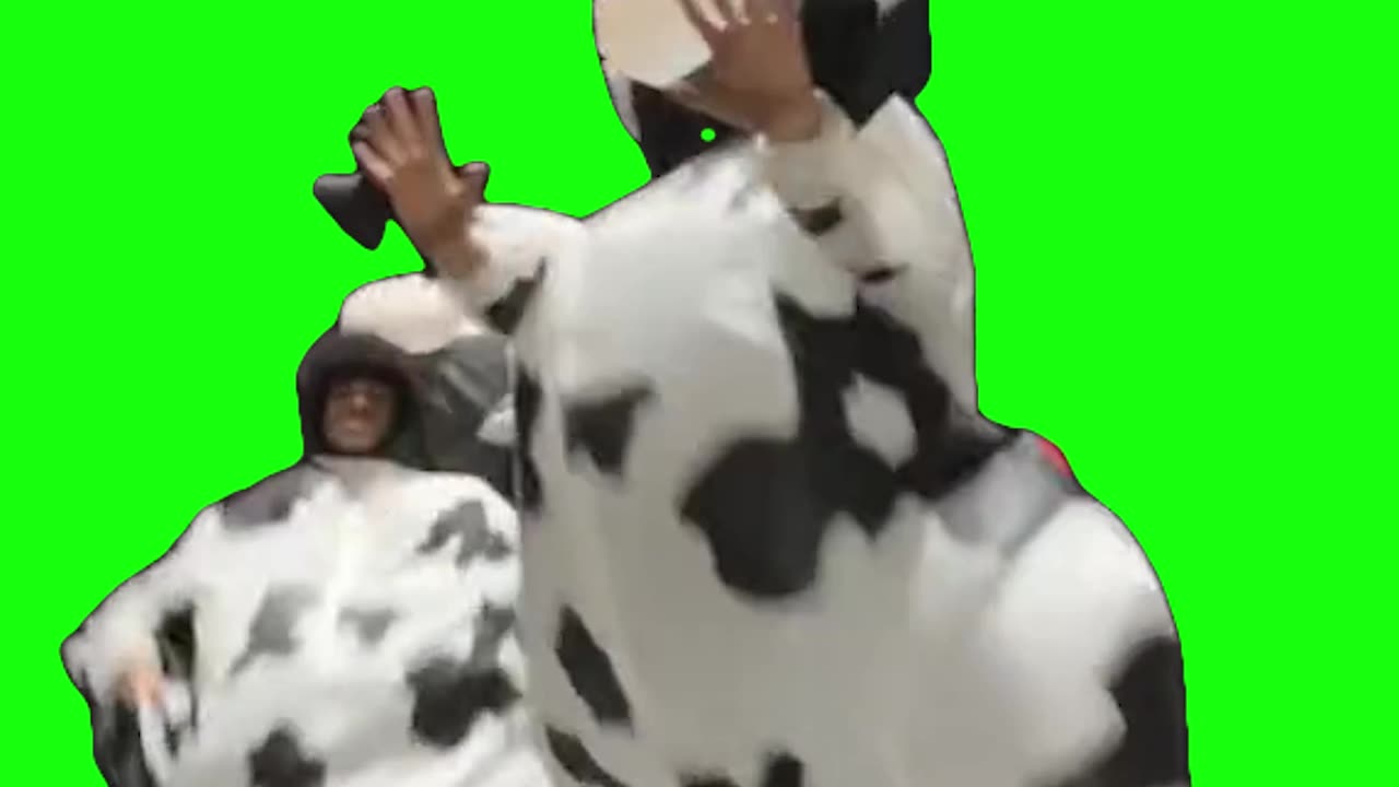 Cows Dancing to Ram Sam Sam | Green Screen