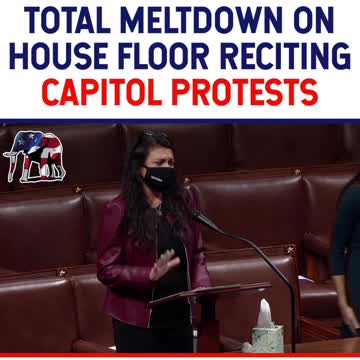 Rashida Tlaib has Total Meltdown on House Floor Reciting Capital Protests