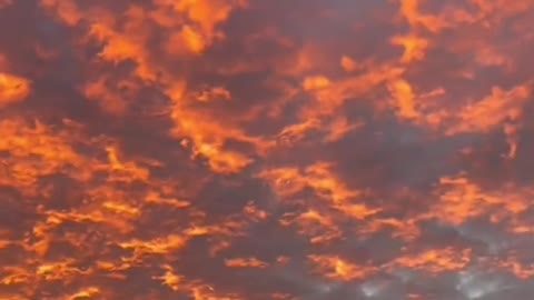 orange sunset