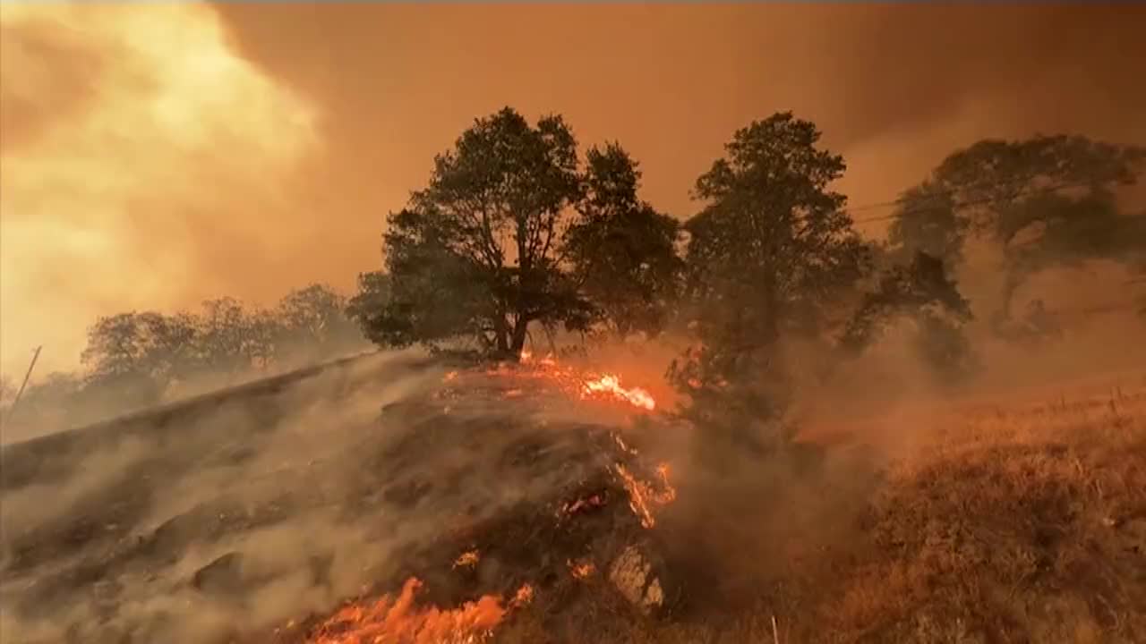 Klamath National Forest has scorched more than 20,000 hectares.