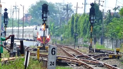 train hunting at stations along //indonesia