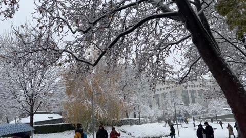 Snowstorm blankets city!