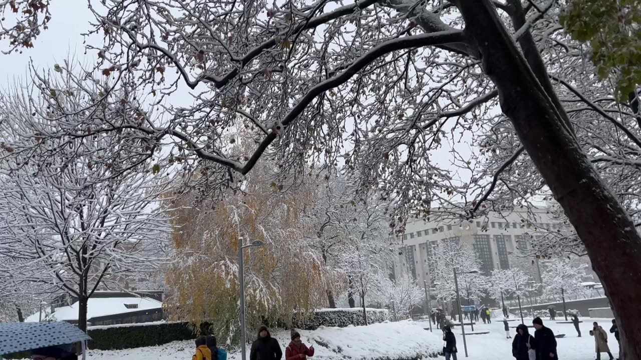 Snowstorm blankets city!