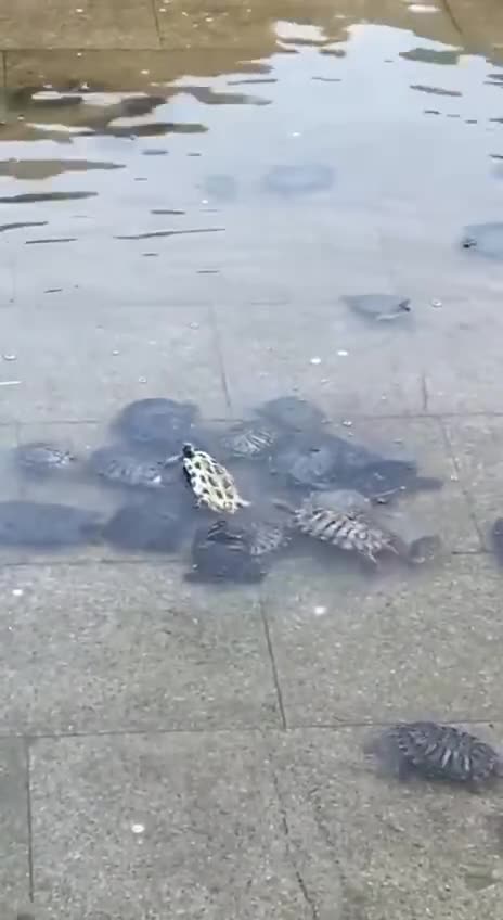 Bros will always help