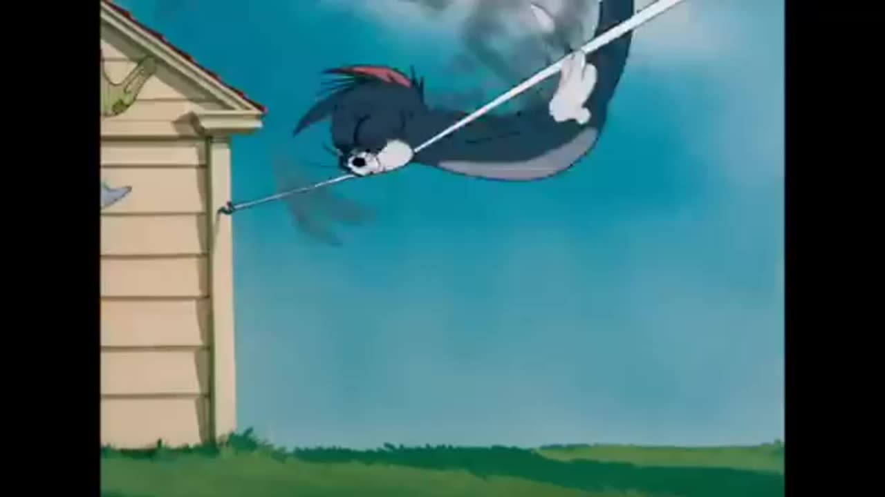 Tom and Jerry cartoon