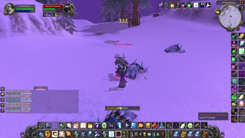 World of Warcraft Classic Shadow in Winterspring dealing with the cold