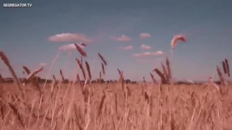 Plan pokojowy SEGREGATOR tv