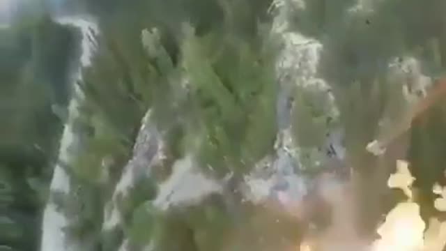 Incendiere intentionata