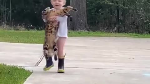 Cute Cat with little boy